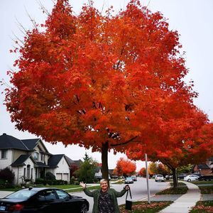 Meet your Posher, Beverley